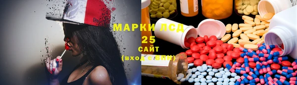 СК Алексин