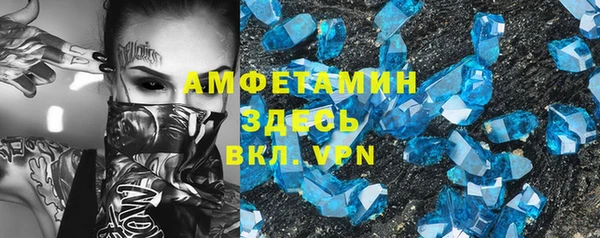 СК Алексин
