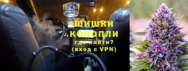 СК Алексин