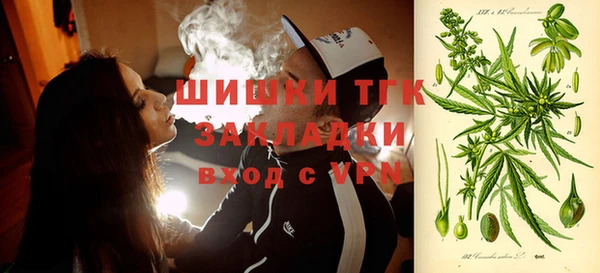 СК Алексин