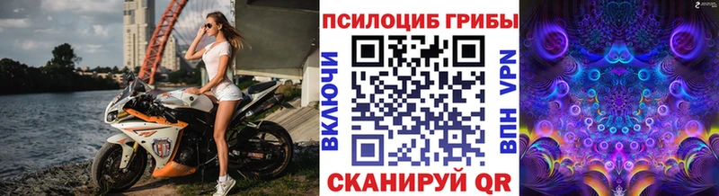 хочу наркоту  Муравленко  Галлюциногенные грибы Psilocybine cubensis 